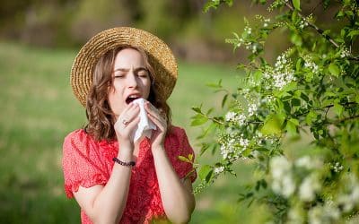 5 Enfermedades que puedes desarrollar en la primavera.