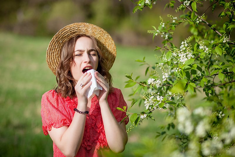 5 Enfermedades que puedes desarrollar en la primavera.